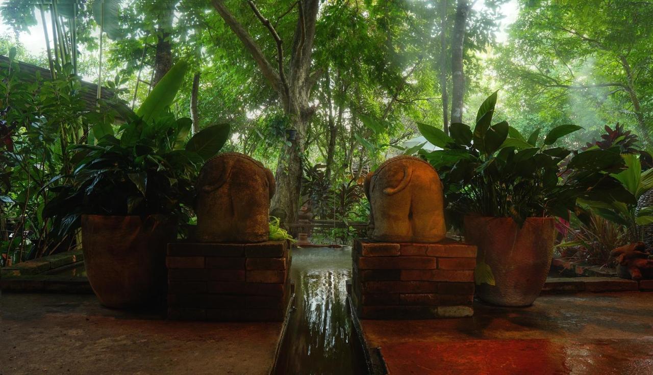 Tongluang Inthanon Homestay โต้งหลวงอินทนนท์โฮมสเตย์ Chom Thong Exteriér fotografie