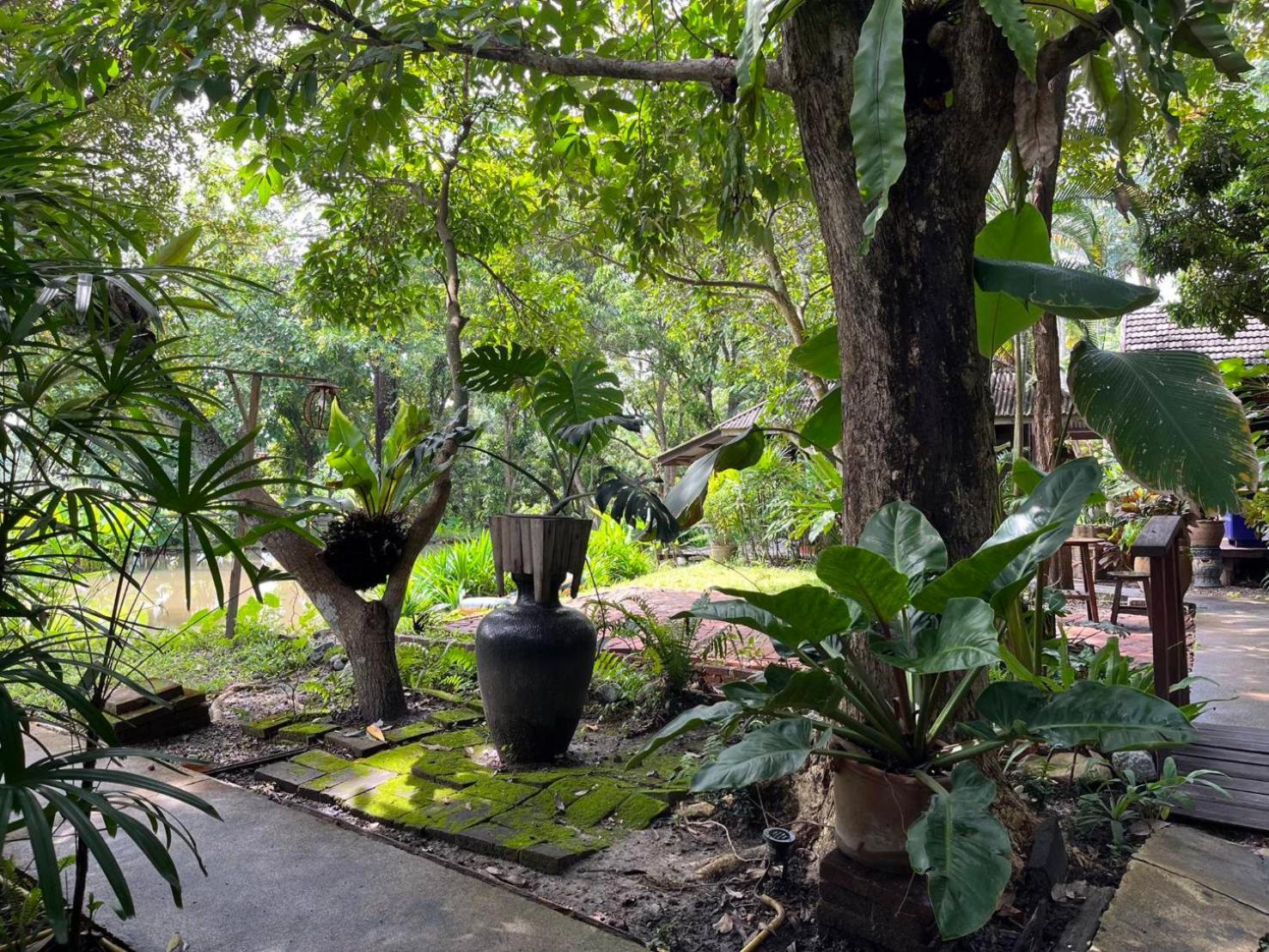 Tongluang Inthanon Homestay โต้งหลวงอินทนนท์โฮมสเตย์ Chom Thong Exteriér fotografie