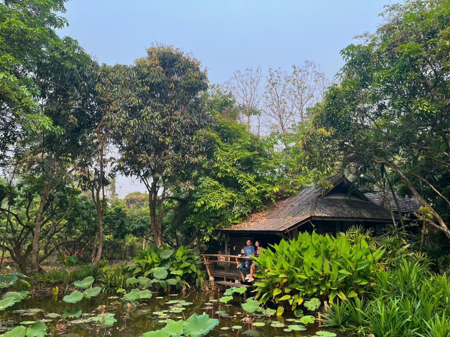 Tongluang Inthanon Homestay โต้งหลวงอินทนนท์โฮมสเตย์ Chom Thong Exteriér fotografie